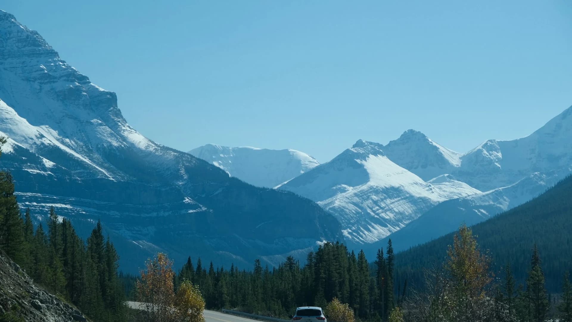 Road Trip trips